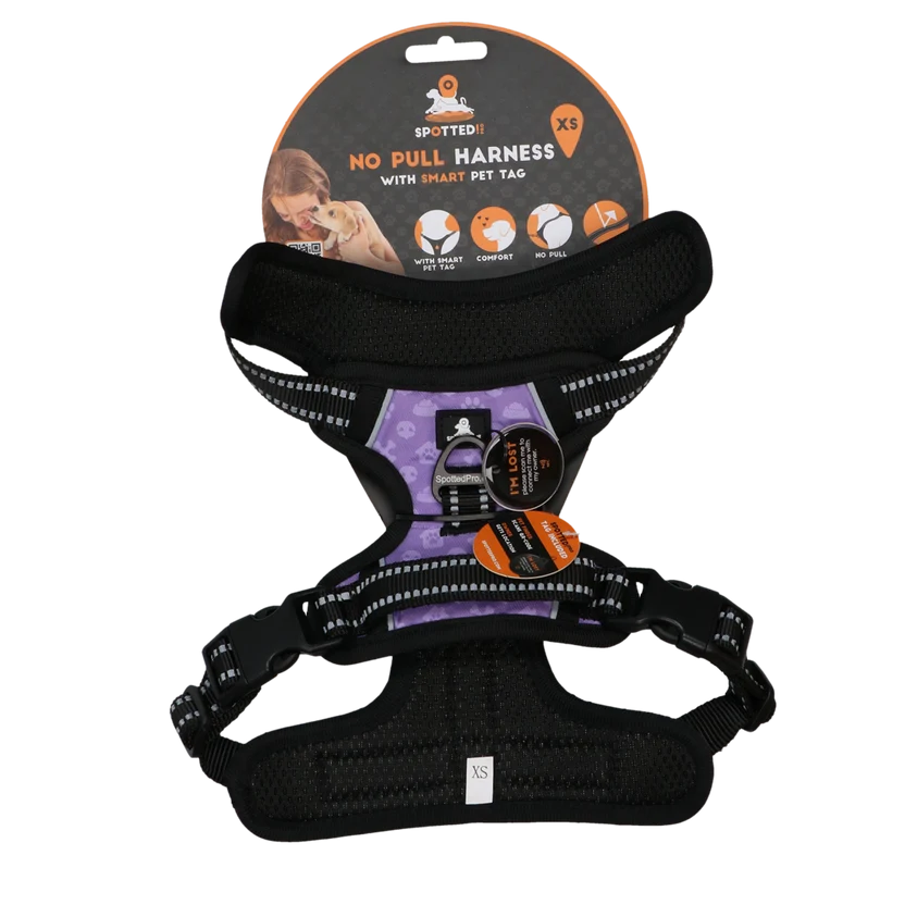Spotted Pro 2 Point Harness Purple XS