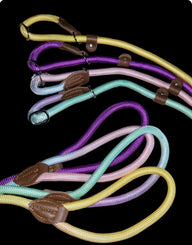Vps Nylon Two Tone Slip Lead 150CM