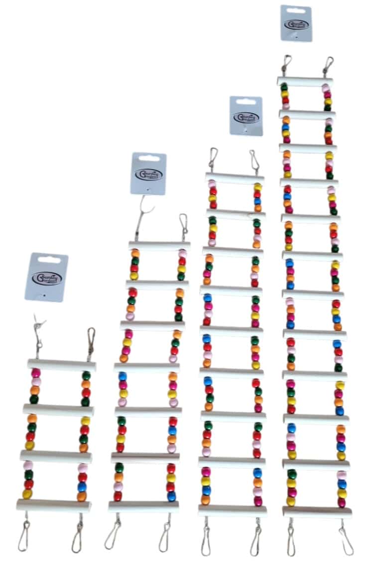 SG Rainbow Ladder Bird Toy
