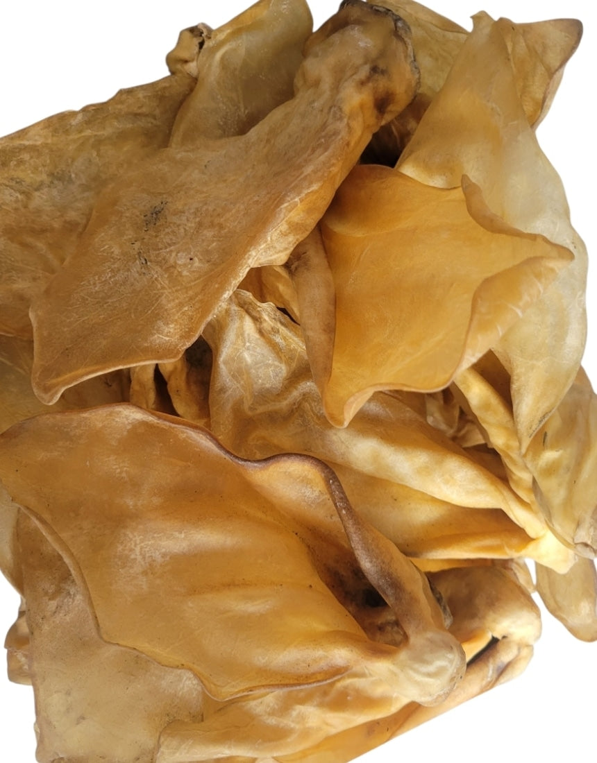 Buffalo Ear x1
