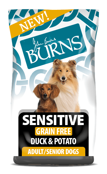 Burns Sensitive Grain Free Duck
