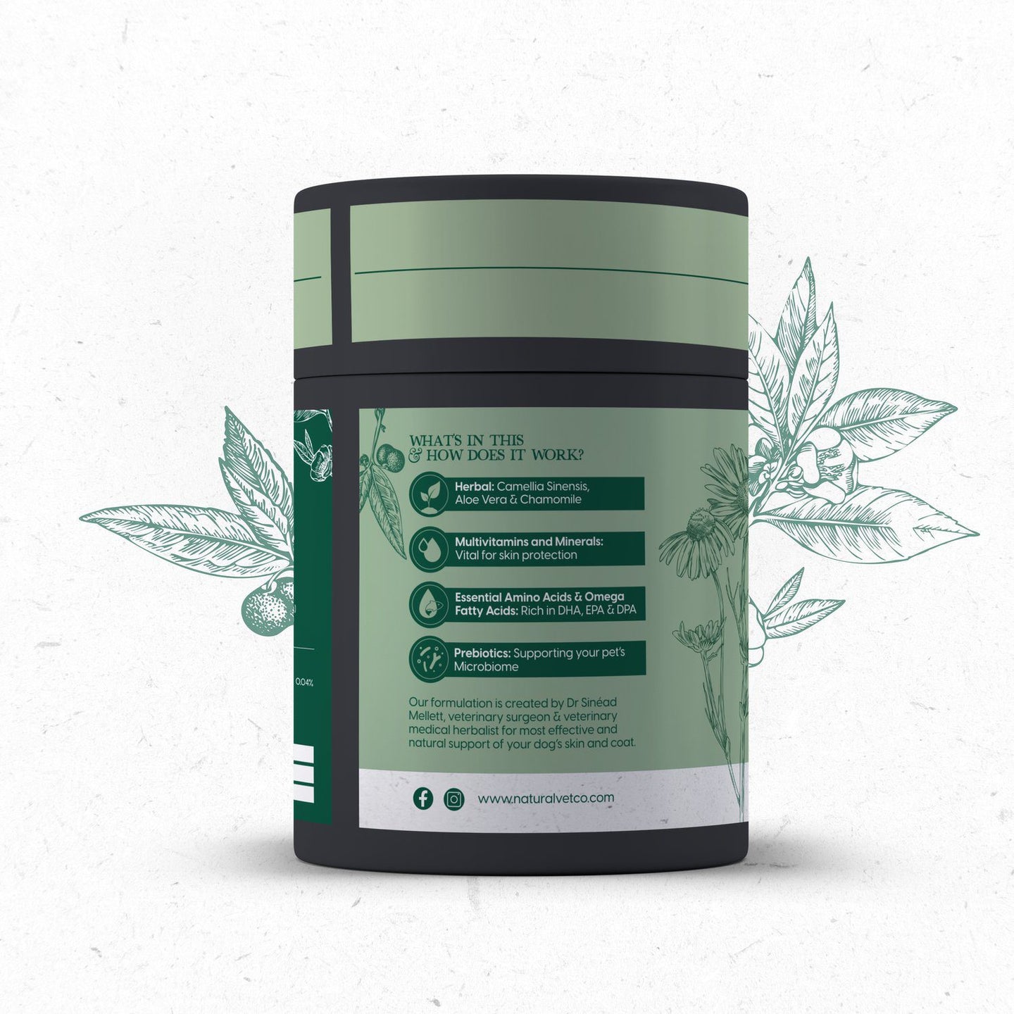 Natural Vet Co Skin & Coat 300g