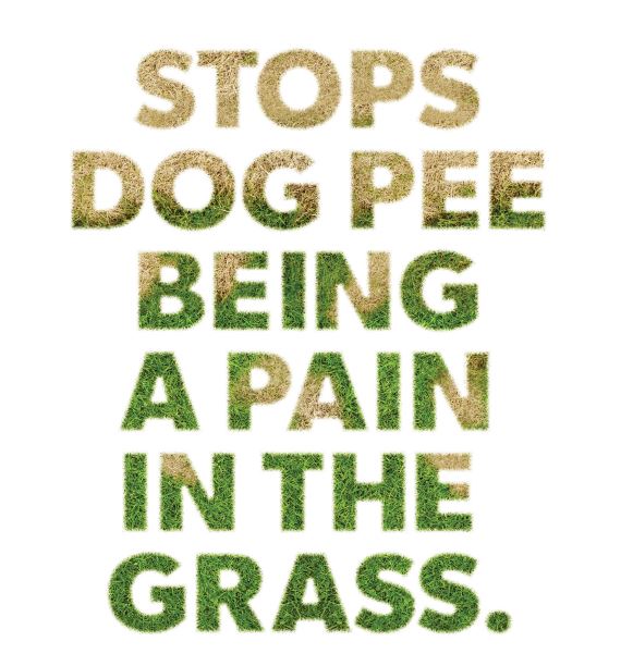 Dog Rocks 100% Natural Urine Lawn Burn Solution 200g