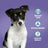 Burns Puppy Grain Free Duck