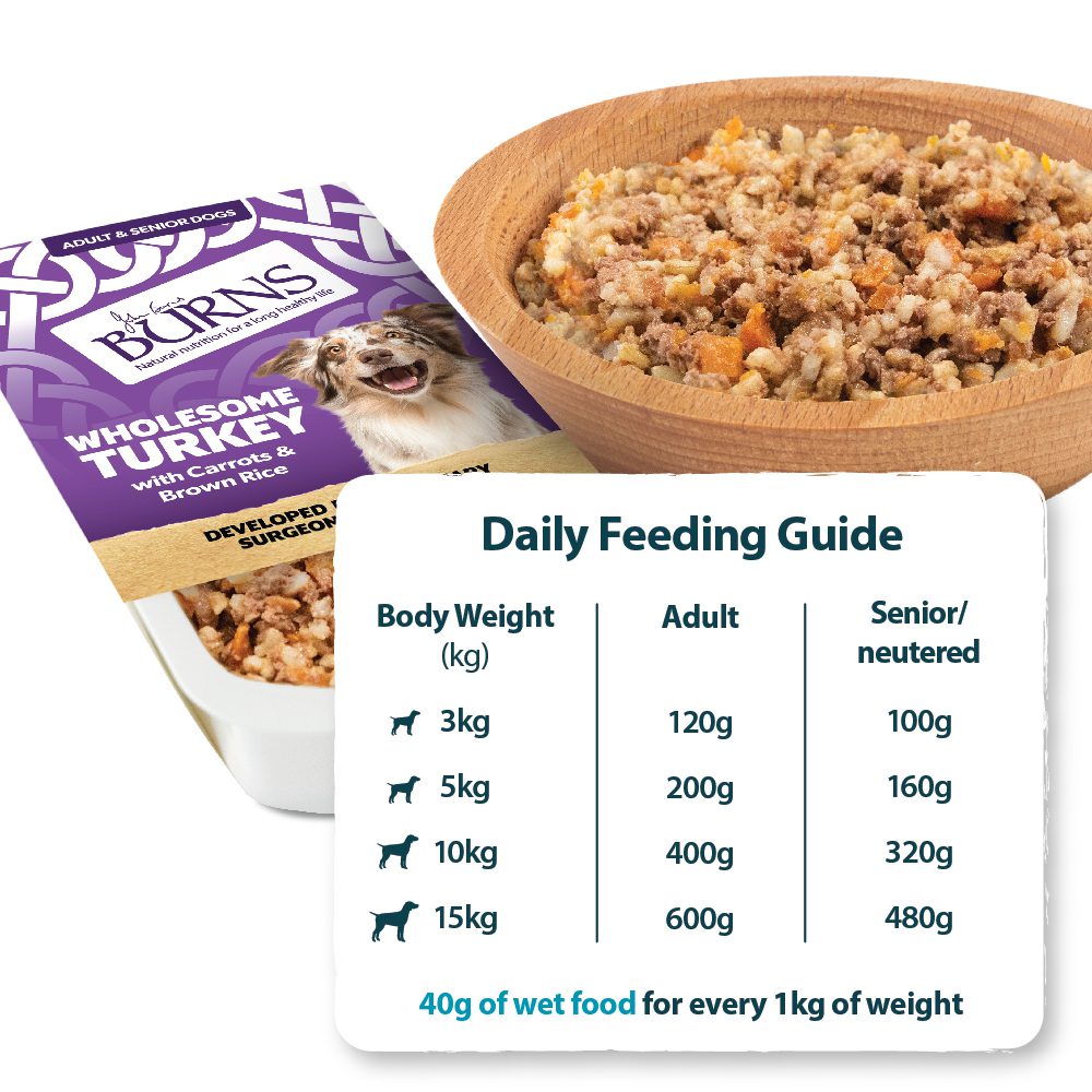 Burns Wholesome Turkey with Carrots & Brown Rice 150g