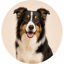 Timmy's Pet Shop adult dog food and accessories category
