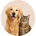 Timmy's Pet Shop dog food, treats, toys and accessories category