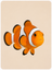 Timmy's Pet Shop fish food, aquariums and aquatic accessories category