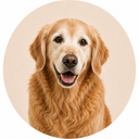 Timmy's Pet Shop senior dog food and accessories category