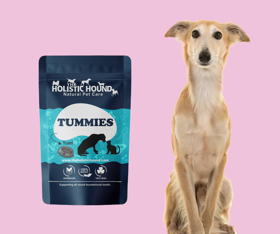 Holistic Hound Tummies Probiotic & Digestive Support 200g