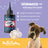 Holistic Hound Wormwood ++ 50ml