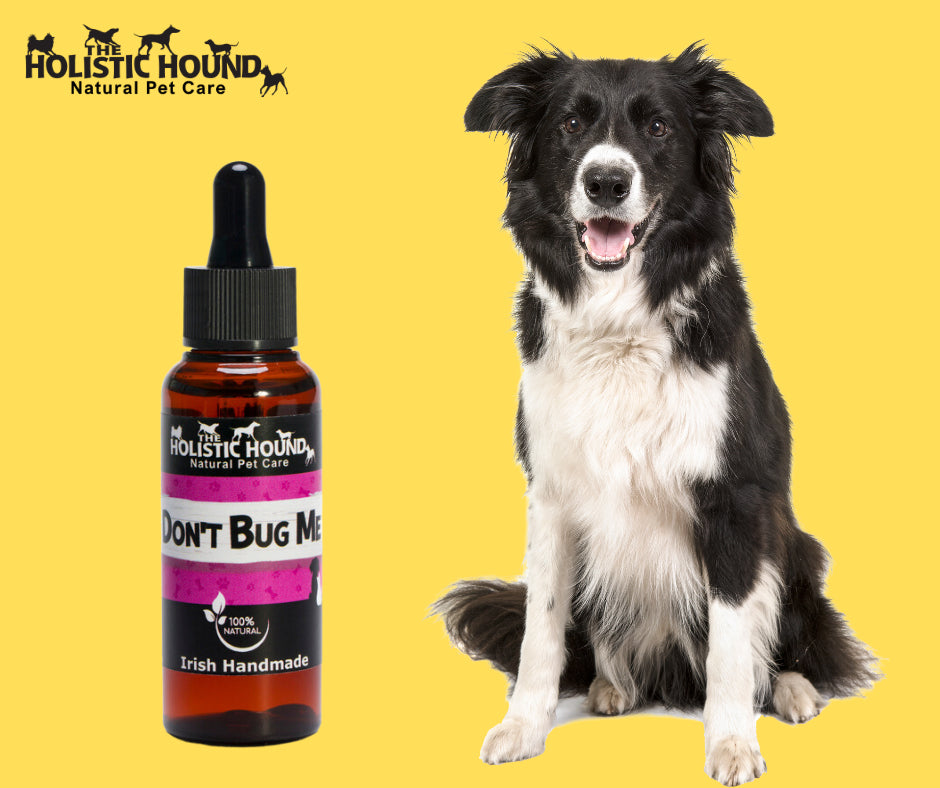Holistic Hound Don't Bug Me 50ml
