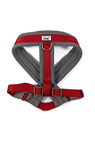 Ancol Viva Xl Red