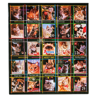 Christmas Advent Calendar 200 gr - Cats