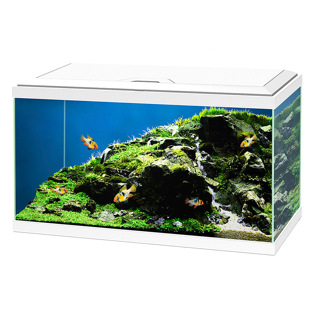 Aqua 60 Led White