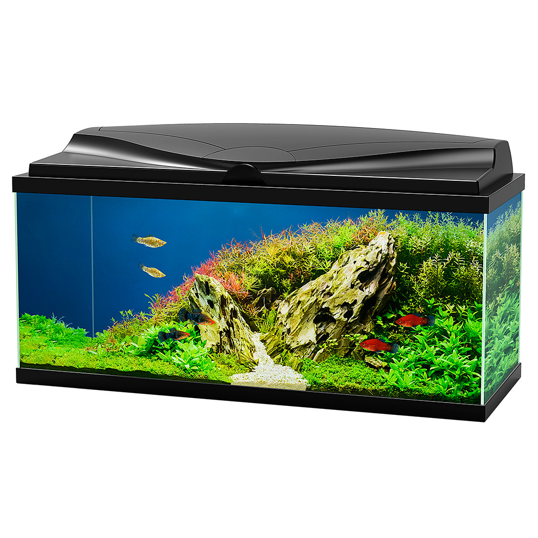 Aqua 80 Led Black