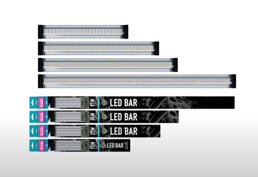 Arcadia Jungle Dawn LED Bars