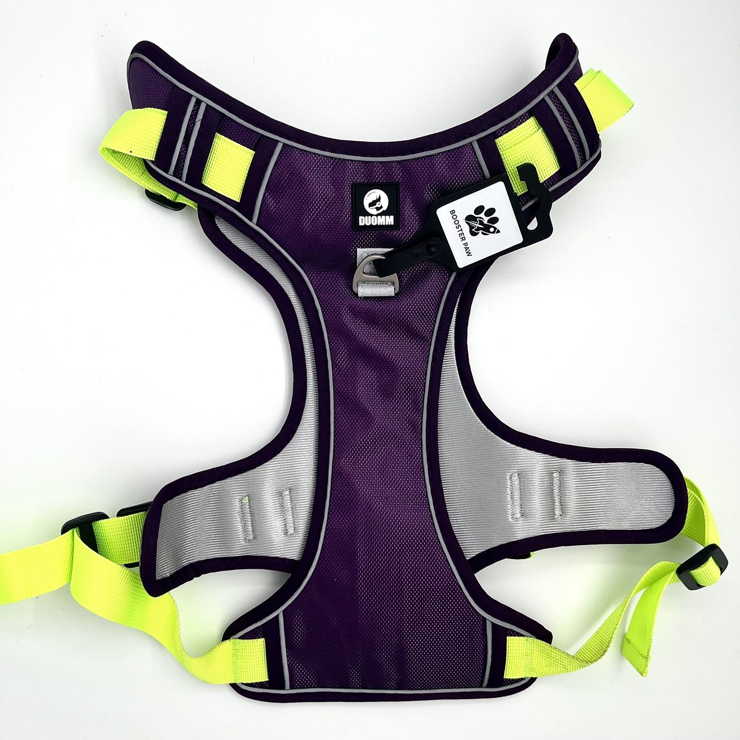 Booster Paw Two-Point Harness Purple & Green