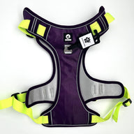 Booster Paw Two-Point Harness Purple & Green