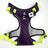 Booster Paw Two-Point Harness Purple & Green
