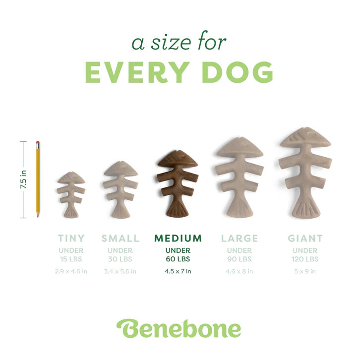 Benebone Fishbone with Jack Salmon Medium