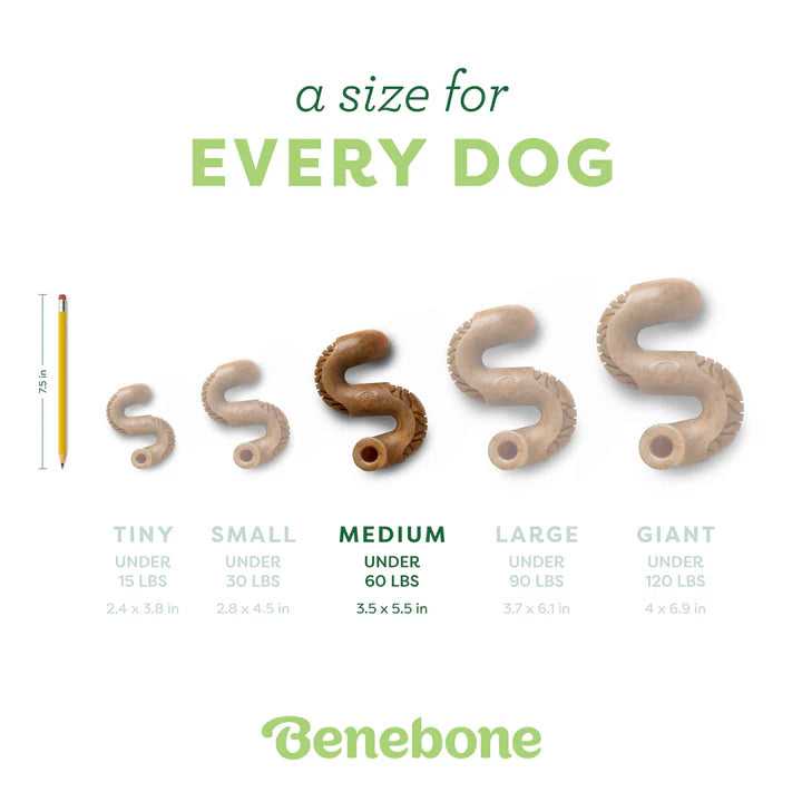 Benebone Tripe Bone Medium