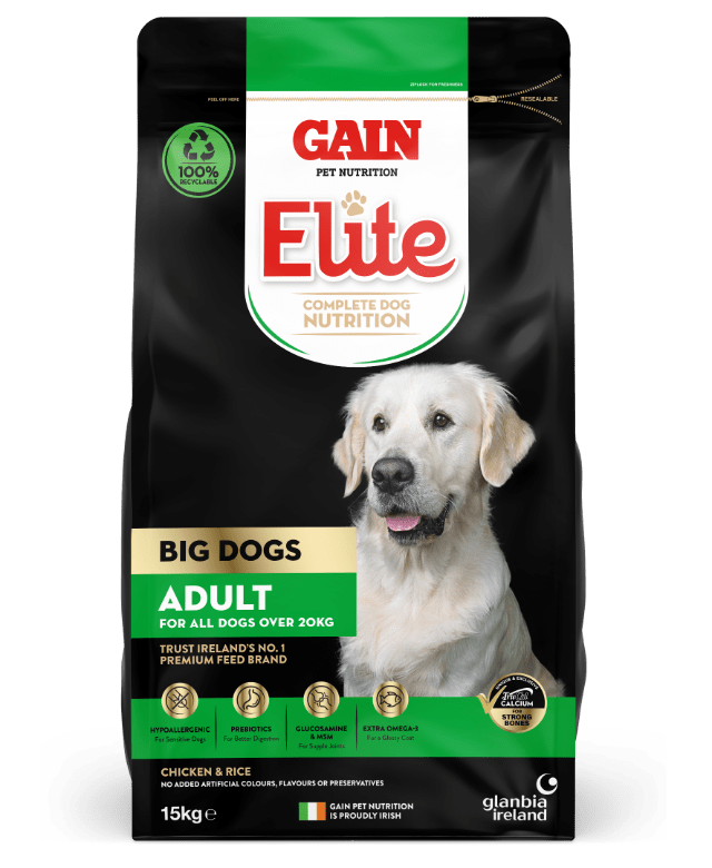Gain Elite Big Dog Adult