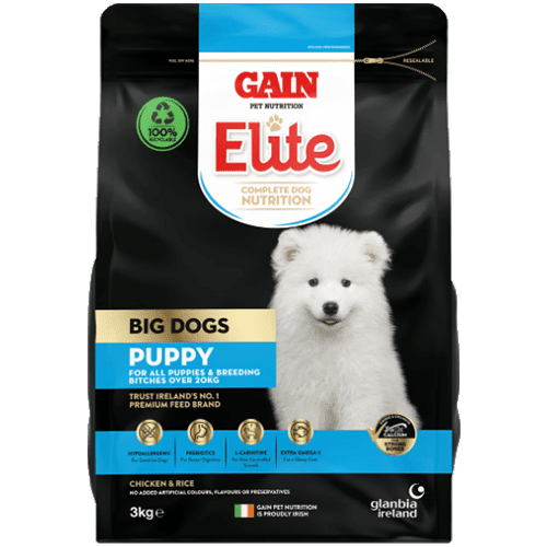 Gain Elite Big Dog Puppy