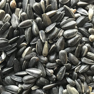 Black Sunflower Seeds