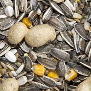 Bramfords Parrot Food 1kg