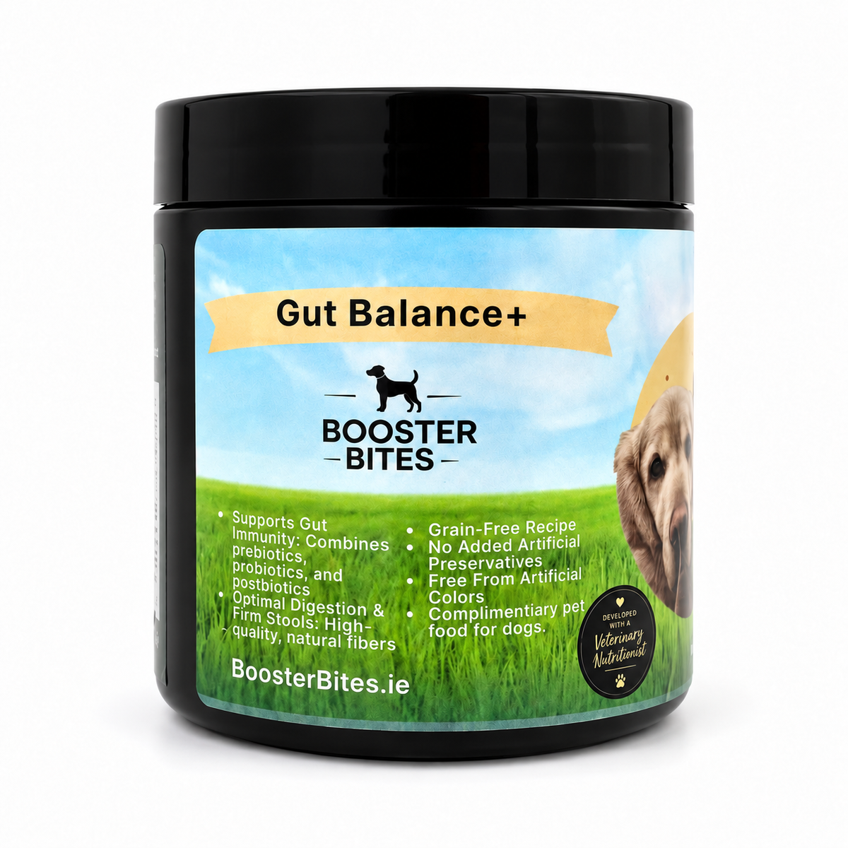 Booster Bites Gut Balance+ x60