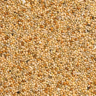 Budgie Seed 1kg