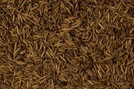 Dried Calciworms 300g