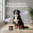 Booster Bites Calming Dog Treats x60