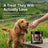 Booster Bites Calming Dog Treats x60