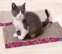 VPS Cardboard Cat Scratcher Wave Top
