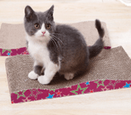 VPS Cardboard Cat Scratcher Wave Top