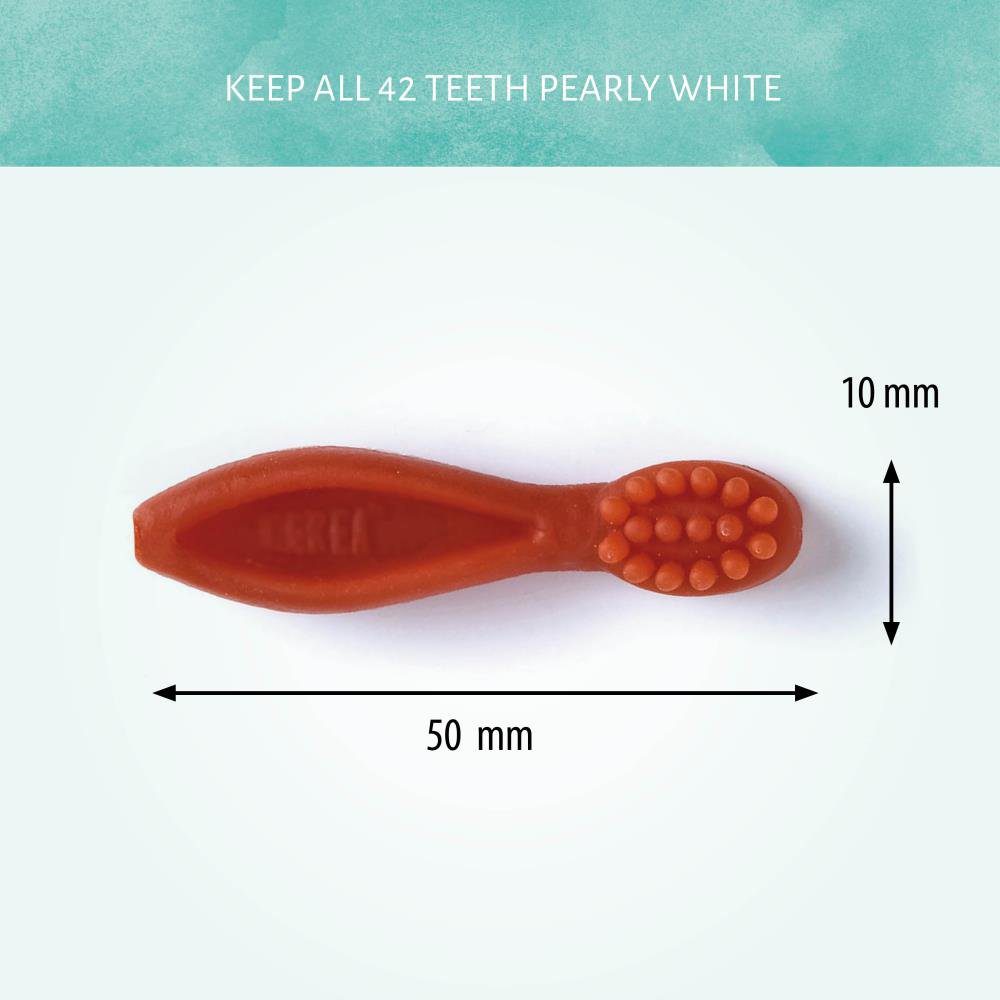 Antos Toothbrushes for Rodents 100g