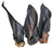 Cow Ear with Hair x1