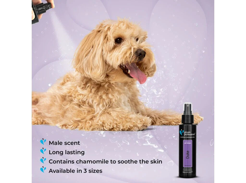 Groom Professional Duke Cologne 100ml