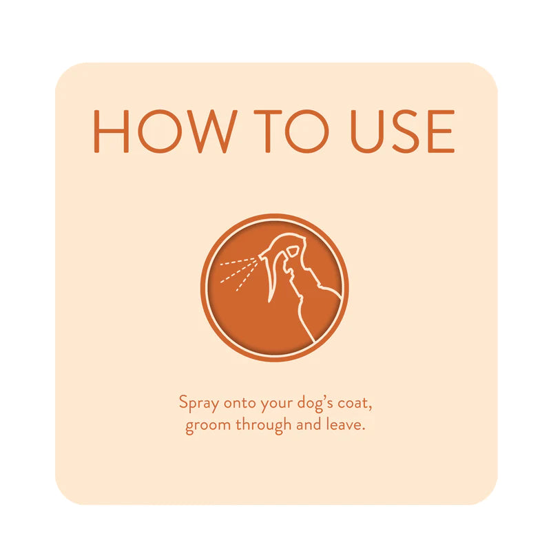 Animology Dirty Dawg No Rinse Shampoo 250ml