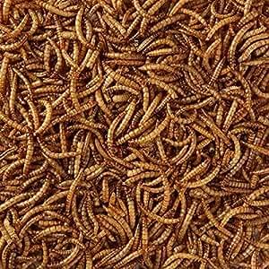 Dried Mealworms 300g