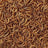 Dried Mealworms 300g