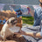 DoggyRade Prebiotic Drink | Duck