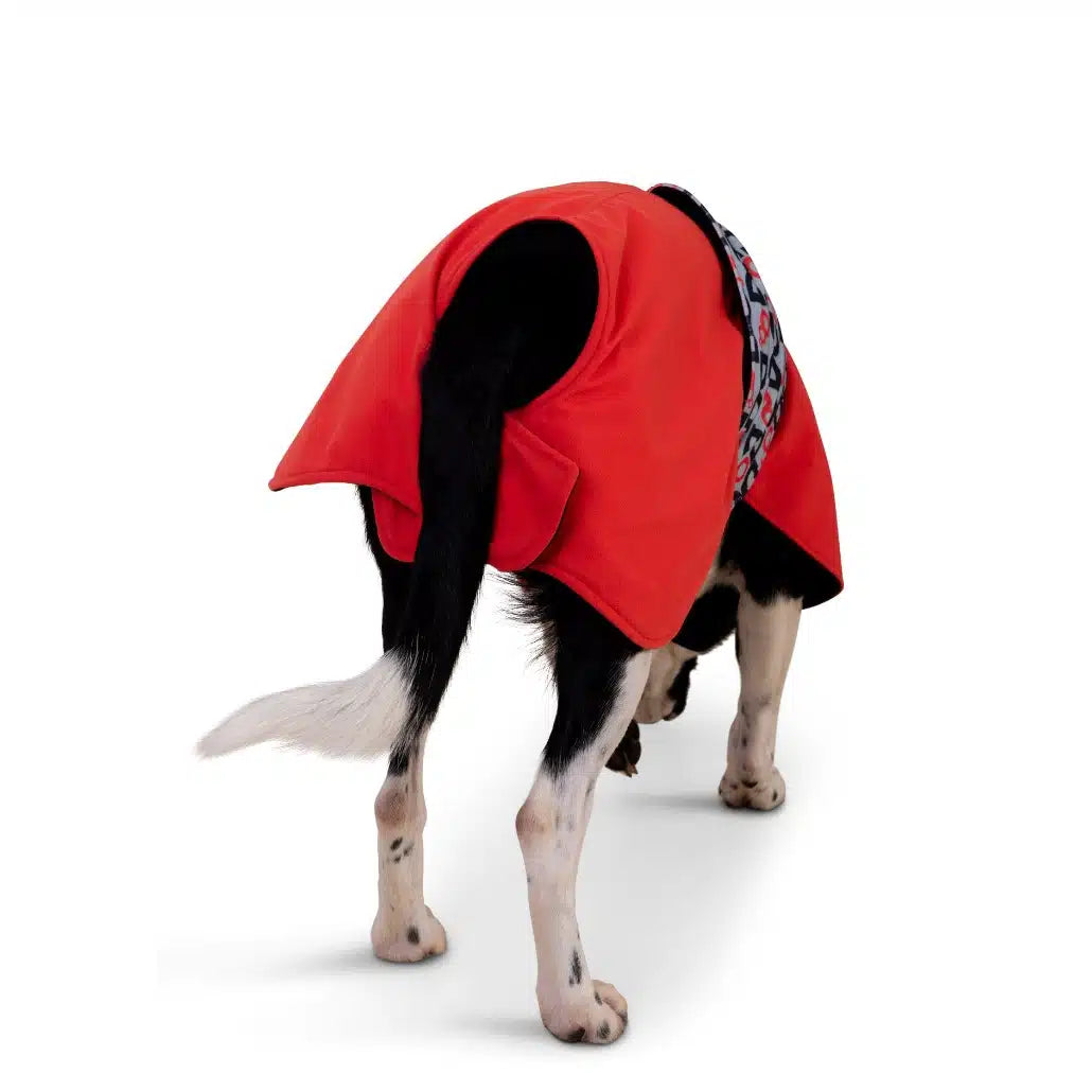 DogDry of Waterford Dog Drying Robes & Mitts