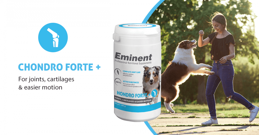 Eminent Chondro Joint Care Supplement for Dogs 180g