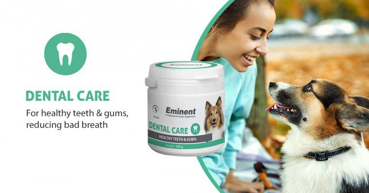 Eminent Dental Care Supplement 100g