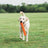 ChuckIt! Max Glow Ultra Fetch Stick