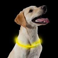 Ancol Flashing Band Collar
