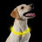 Ancol Flashing Band Collar
